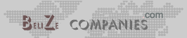 Welcome to bzCOMPANIES.com :: Where you place your offshore companies...